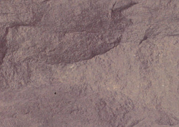 劈面蘑菇石—MCM生態石材